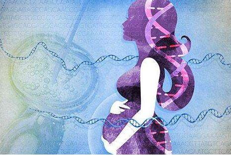 关于借卵代生包女孩代生包成功